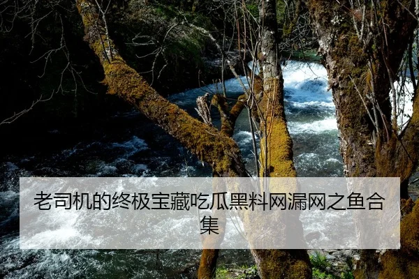 老司机的终极宝藏吃瓜黑料网漏网之鱼合集